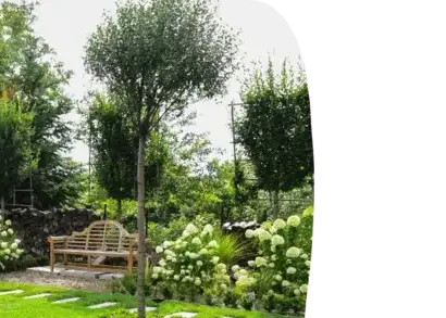 abattage d'arbre La Roche-sur-Yon-3