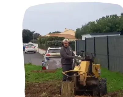 abattage d'arbre Les Herbiers-1