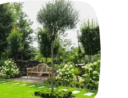 abattage d'arbre Les Herbiers-5