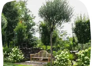 abattage d'arbre Tiffauges-5