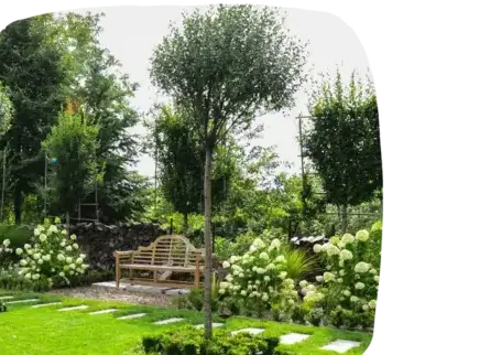 aménagement extérieur La Roche-sur-Yon-4