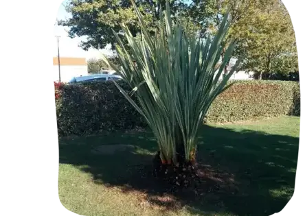 aménagement extérieur Les Herbiers-2