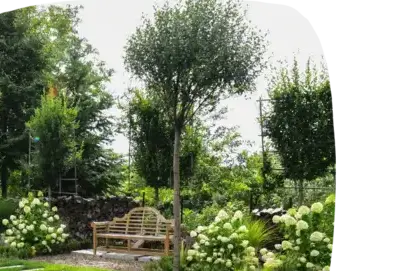 aménagement extérieur Les Herbiers-5