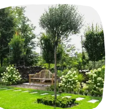 aménagement extérieur Tiffauges-3