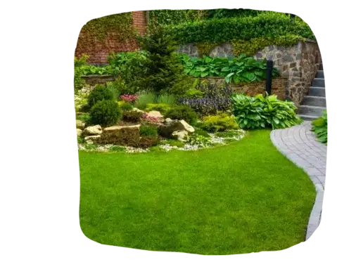 création jardin La Roche-sur-Yon-1