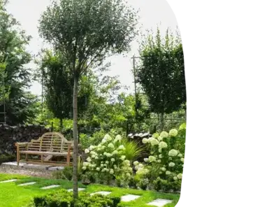 création jardin La Roche-sur-Yon-2