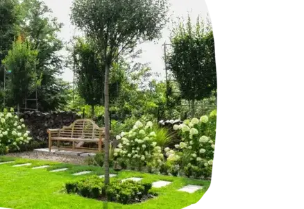 création jardin Les Herbiers-2