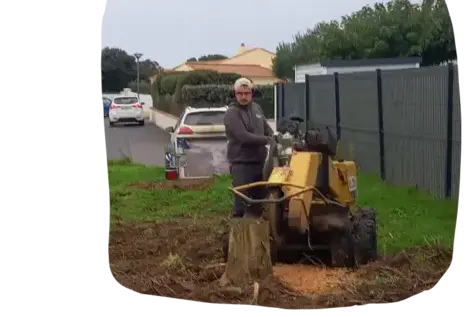 entretien de jardin Tiffauges-2