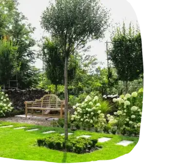 entretien de jardin Tiffauges-3