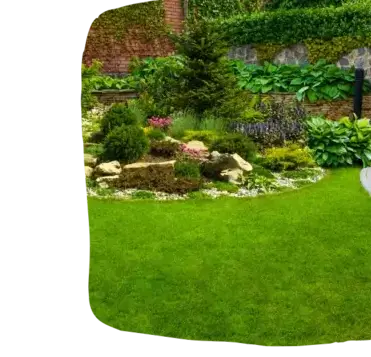 entretien de jardin Tiffauges-5