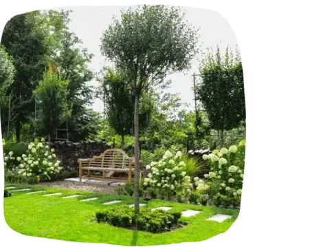 paysagiste La Roche-sur-Yon-5